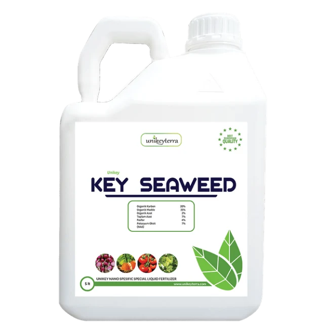 Key Seaweed