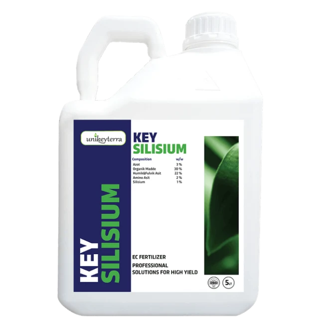 Key Silisium
