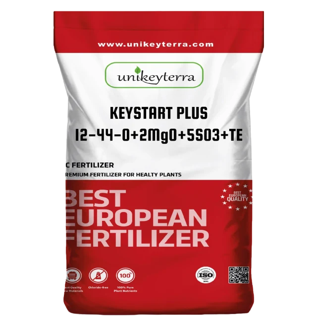 Unikey Keystart Plus