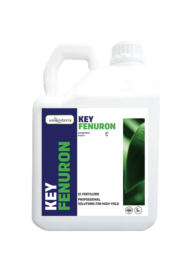 Key Fenuron