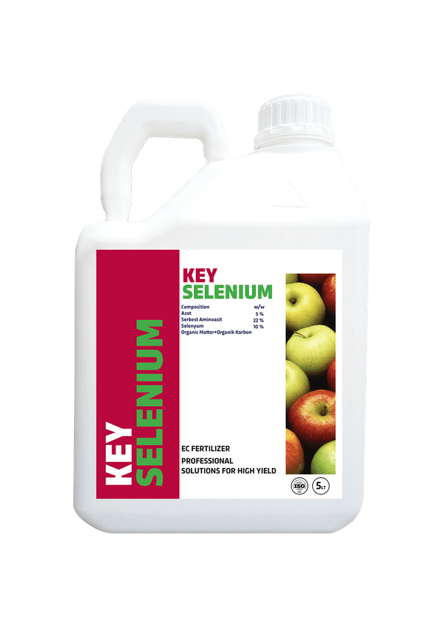 Key Selenium