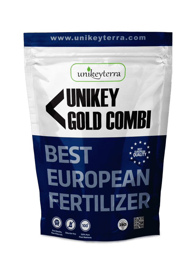 Unikey Gold Combi